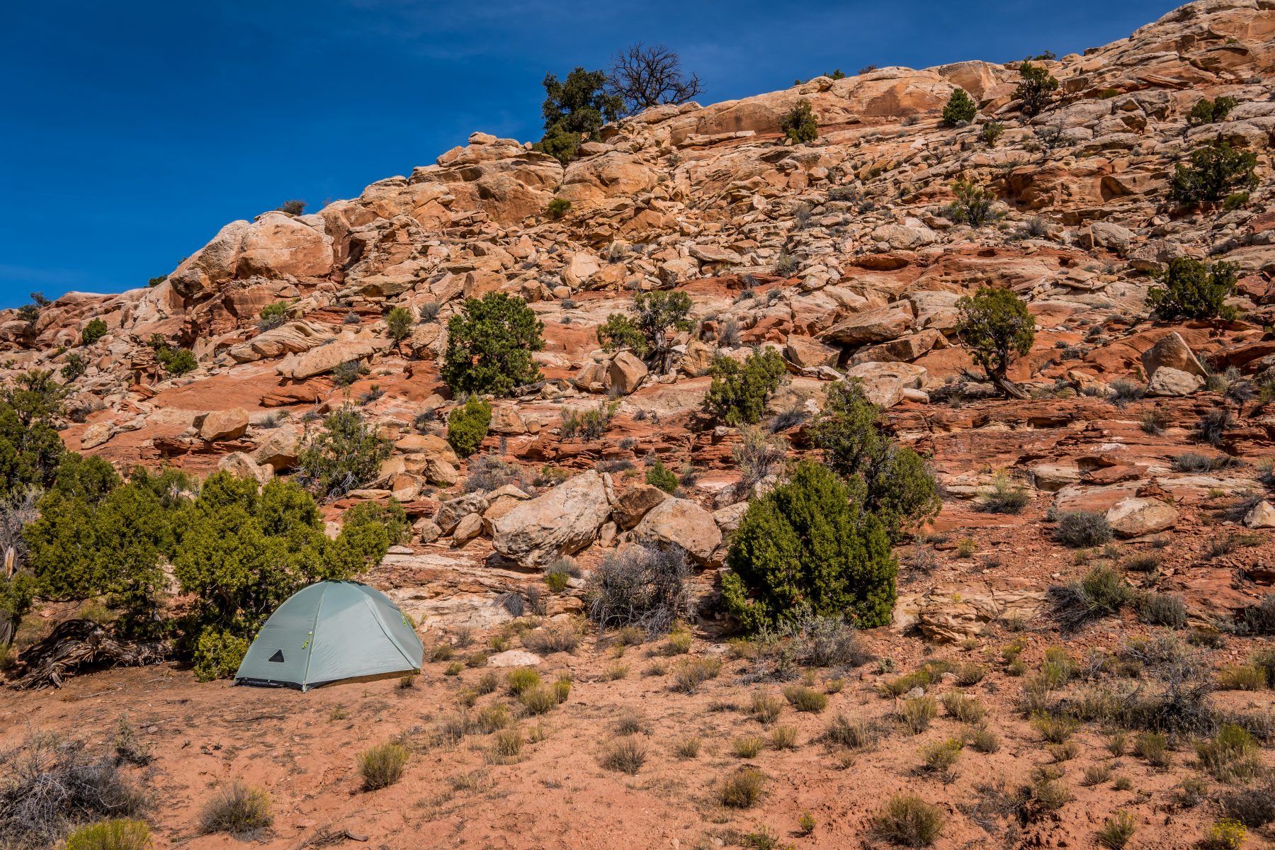 My beautiful campsite on BLM land just 20 feet outside of Arches National Park.