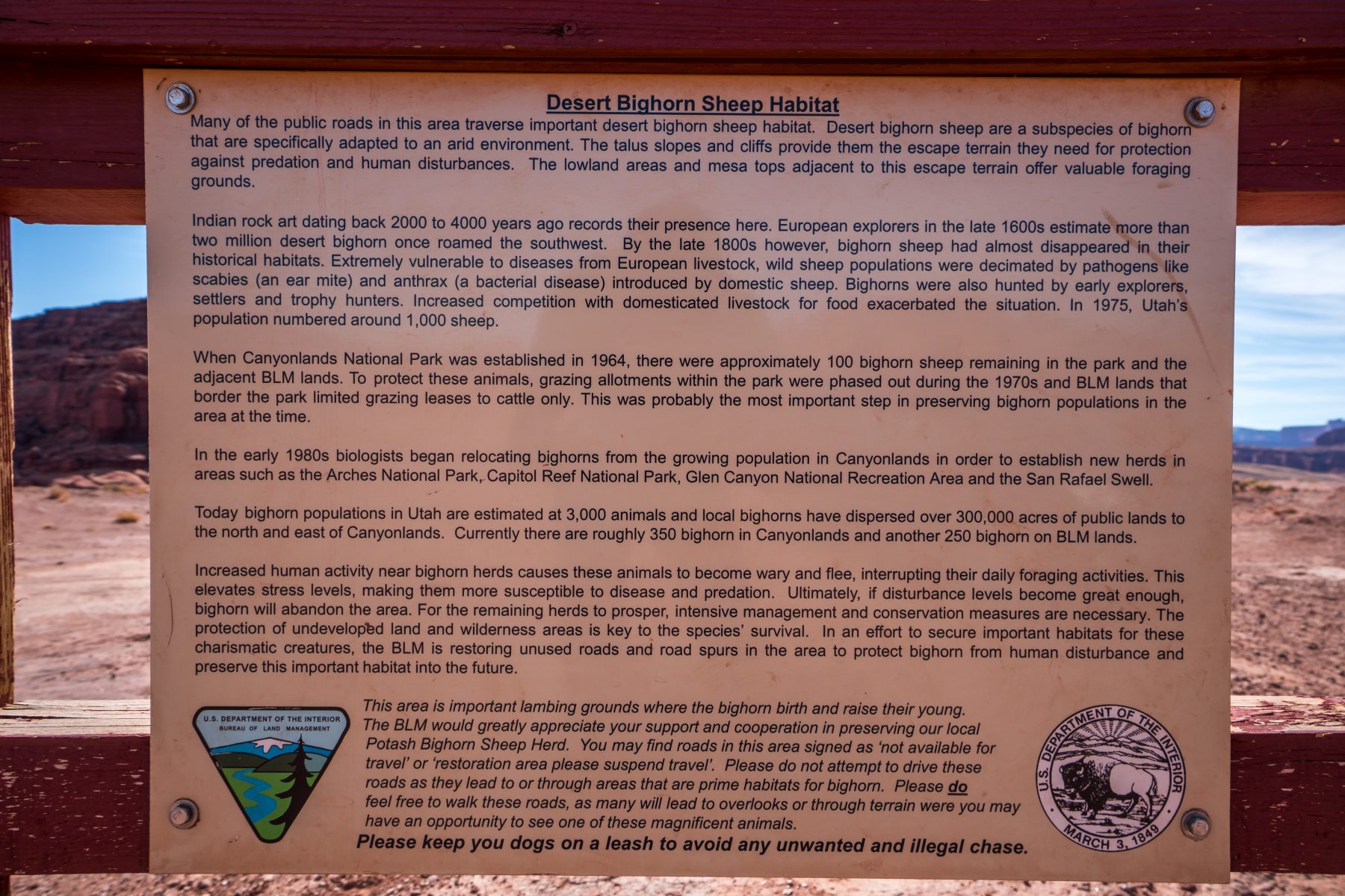 The very informative sign on the Shafer Trail about Desert Bighorn Sheep.