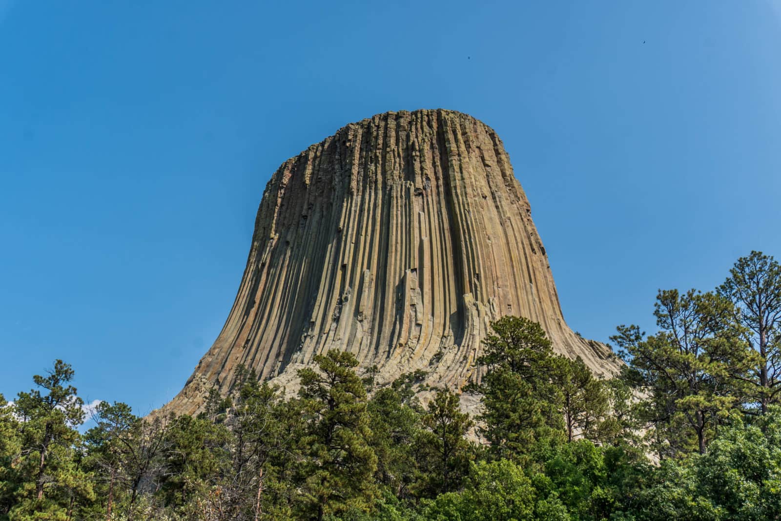 Devils Tower National Monument in Wyoming