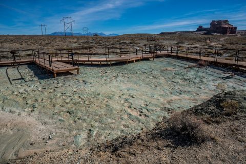 Mill-Canyon-Dinosaur-Tracksite